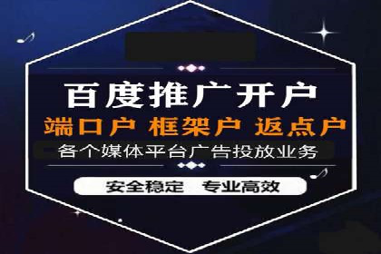 成功SEM竞价托管案例分析报告
